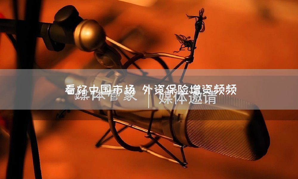 看好中国市场 外资保险增资频频