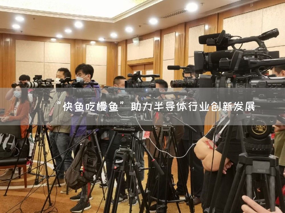 “快鱼吃慢鱼”助力半导体行业创新发展
