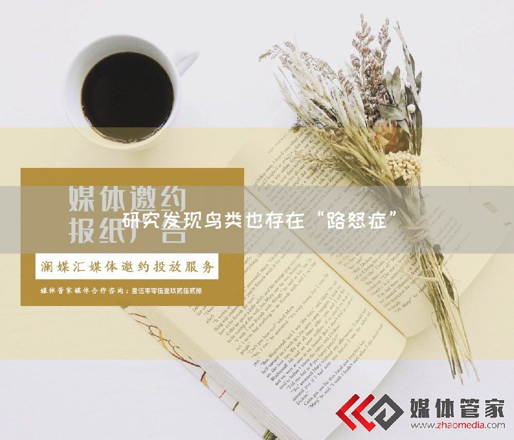 研究发现鸟类也存在“路怒症”